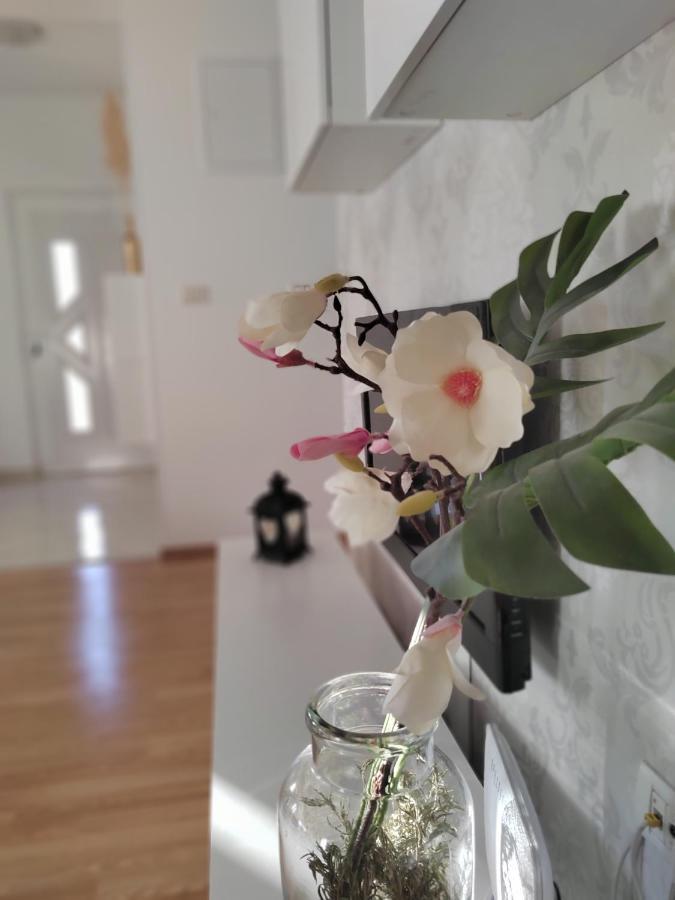 Apartments Karla I Ivano Мандре Екстериор снимка